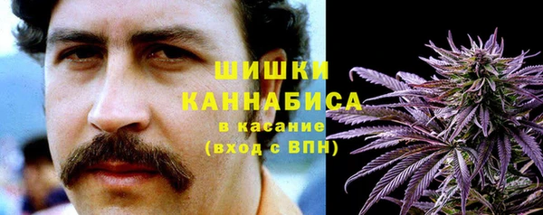 метадон Белокуриха