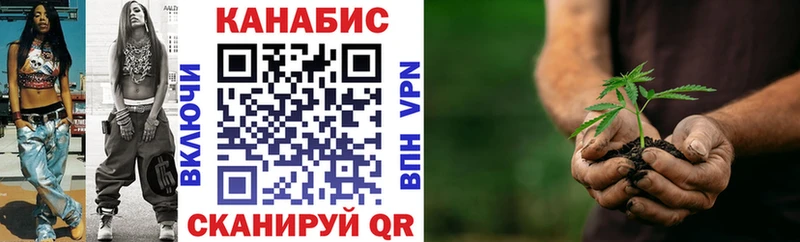 Конопля конопля  Тайга 